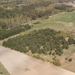 Plots in Želviai village of 8.25 and 4.51 acres