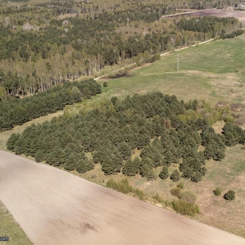 Plots in Želviai village of 8.25 and 4.51 acres