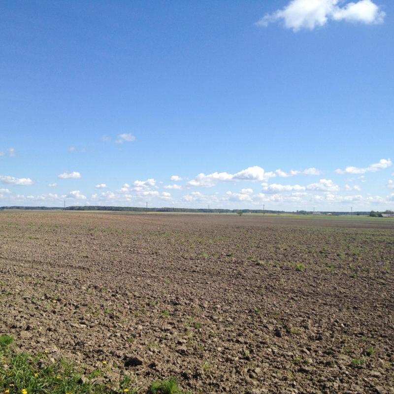 Plot of land in Grūšlaukė village 0.627 acres