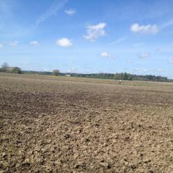 Plot of land in Grūšlaukė village 0.627 acres