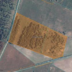 Plots in Želviai village of 8.25 and 4.51 acres