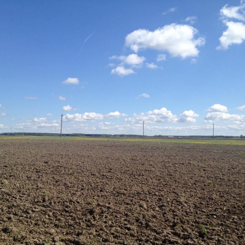 Plot of land in Grūšlaukė village 0.627 acres