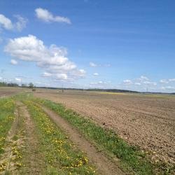 Plot of land in Grūšlaukė village 0.627 acres