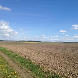 Plot of land in Grūšlaukė village 0.627 acres