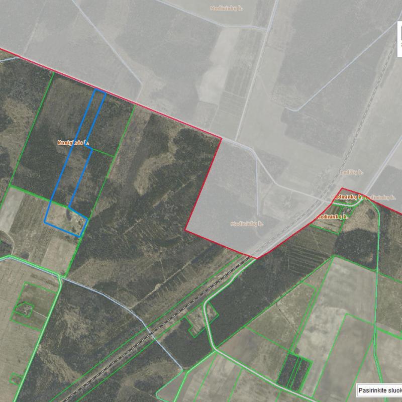 Plots in the village of Kuniginė with an area of 13.97 and 6.23